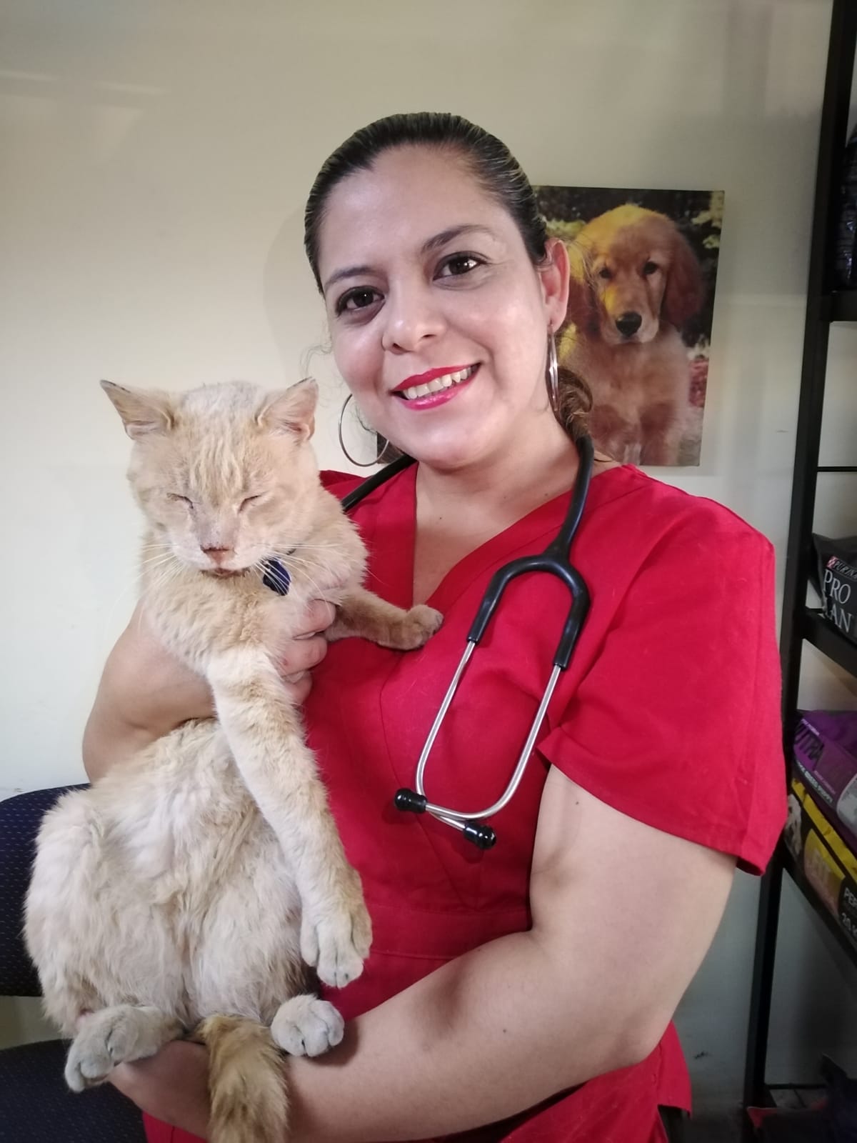 Doctora Elizabeth Farías Hernández - Médico Veterinario Doctora Elizabeth Farías Hernández - Médico Veterinario