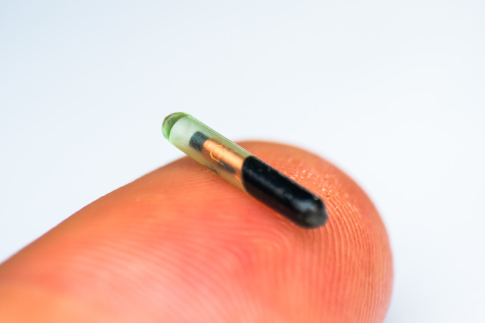 microchip