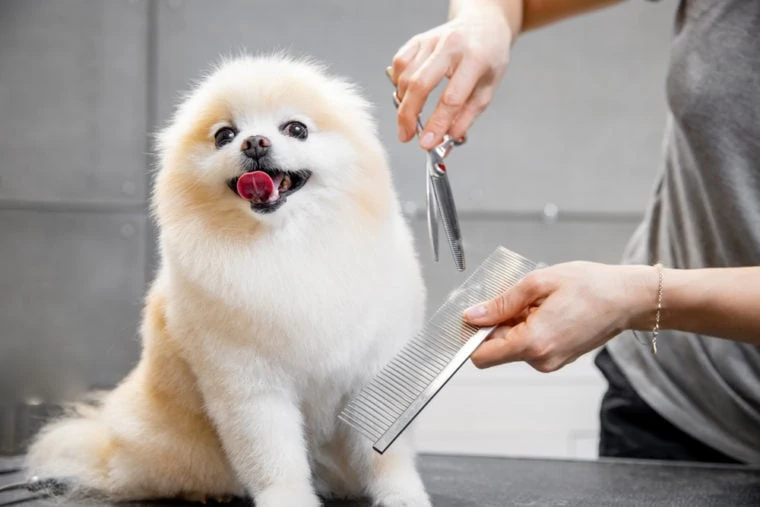 peluqueria peluqueria