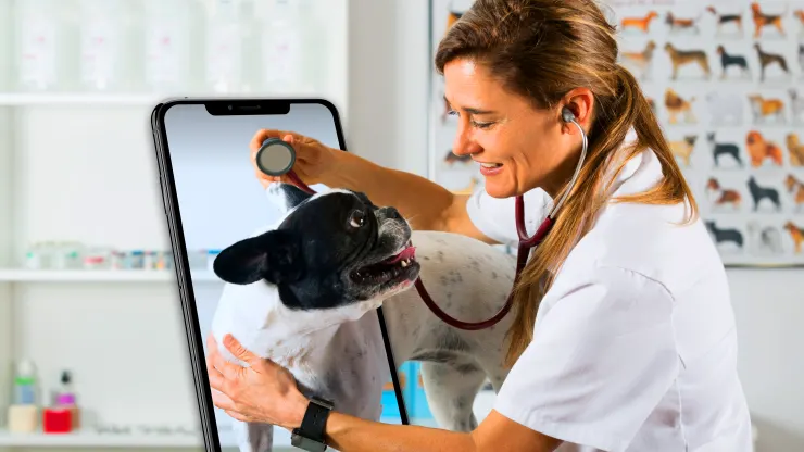 telemedicina